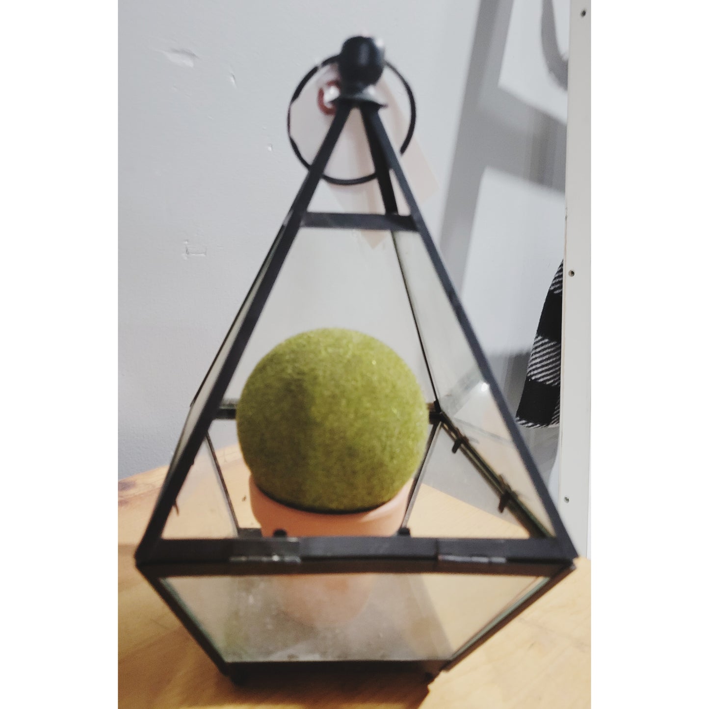 Terrarium