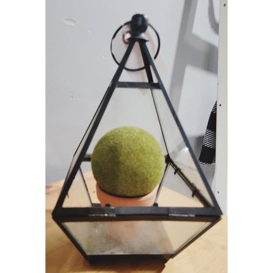 Terrarium